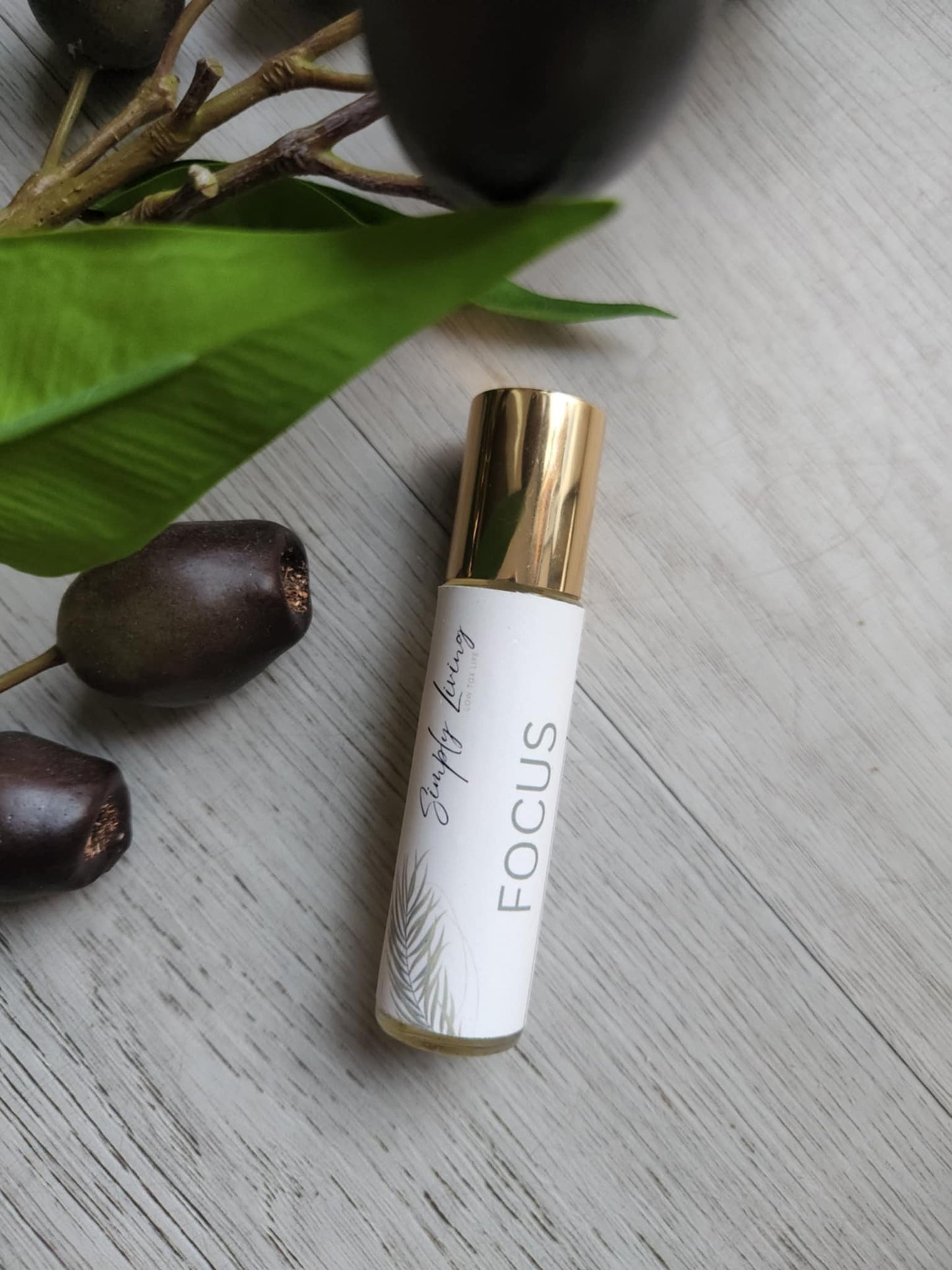 Focus Support Roller