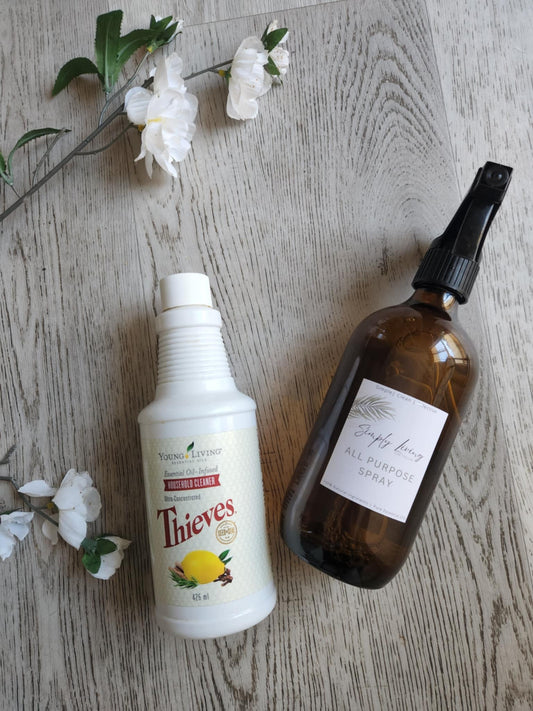 All Purpose Spray with Concentrate Refill